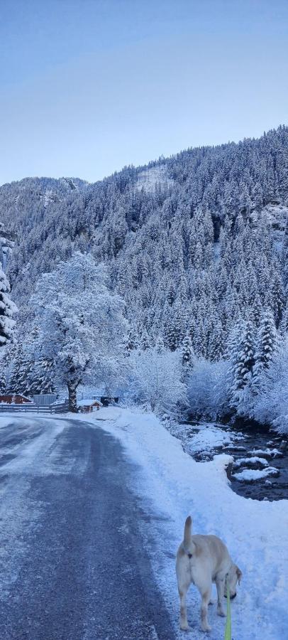 Haus Nani Daire Bad Gastein Dış mekan fotoğraf
