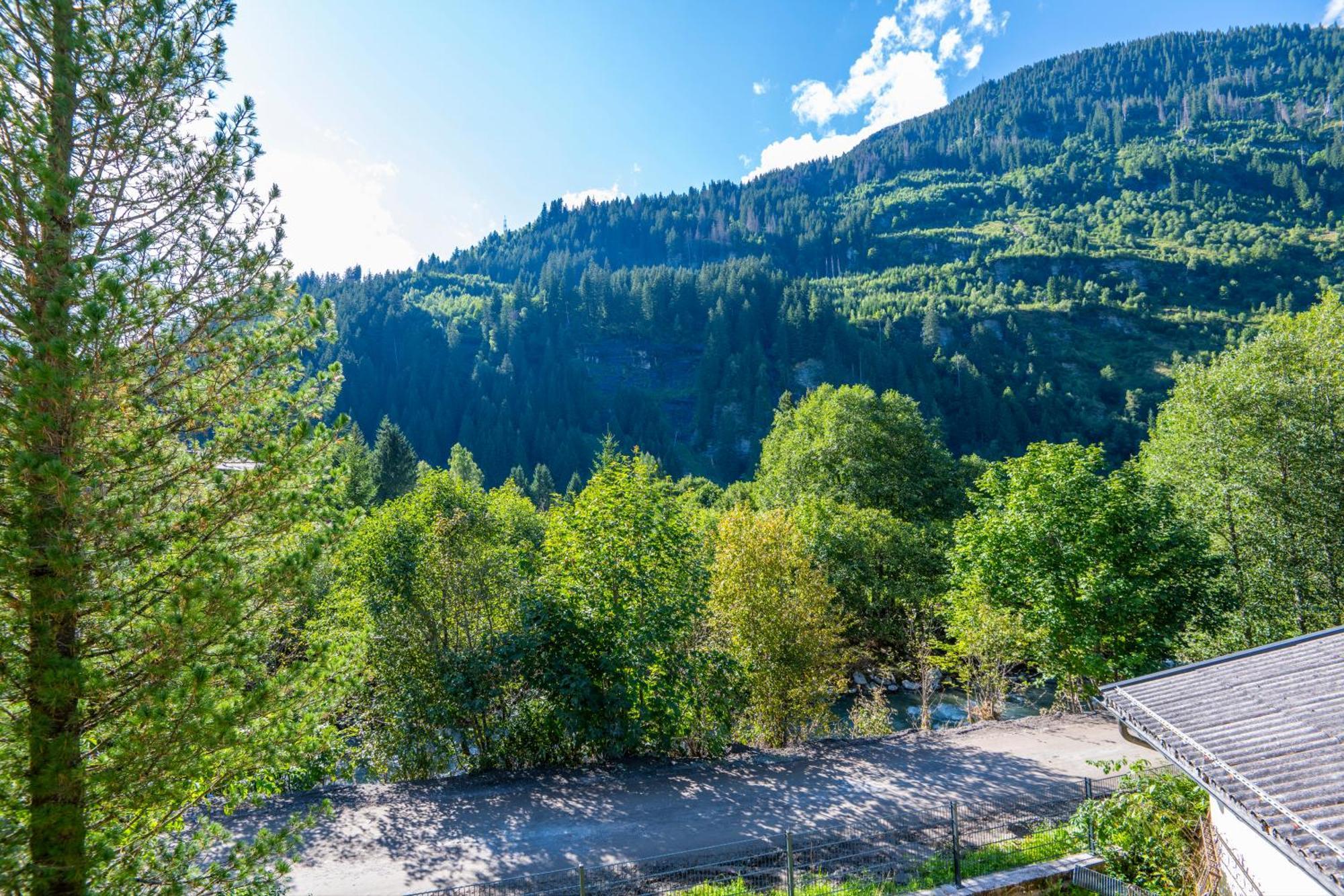 Haus Nani Daire Bad Gastein Dış mekan fotoğraf